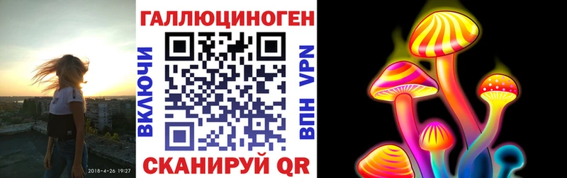 Галлюциногенные грибы Psilocybine cubensis  Моршанск 