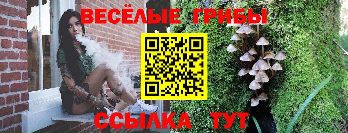 Галлюциногенные грибы Magic Shrooms  Вход с VPN  Моршанск 