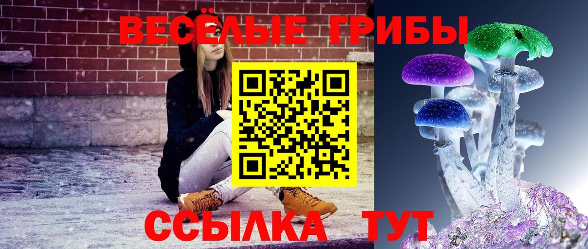 Псилоцибиновые грибы Psilocybine cubensis Моршанск